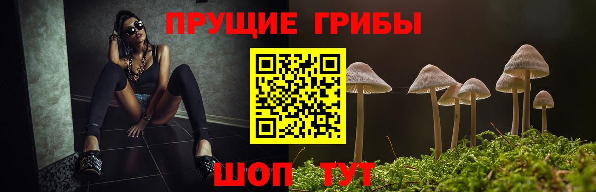 Полысаево  Псилоцибиновые грибы GOLDEN TEACHER  Вход с VPN  Галлюциногенные грибы ЛСД 